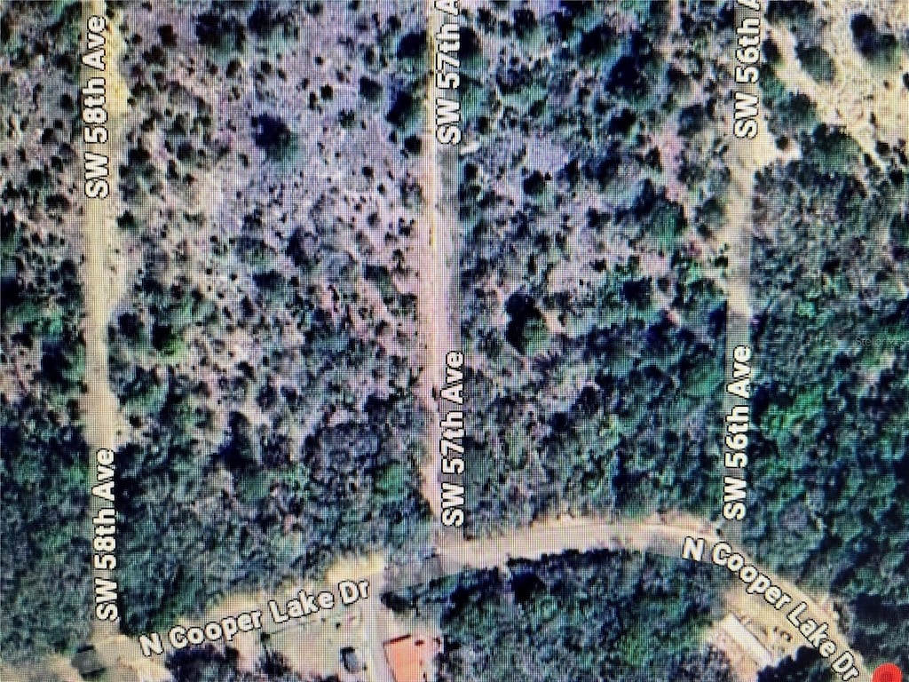 LOT29 SW 57th Ave, Interlachen, FL 32148 - photo 1