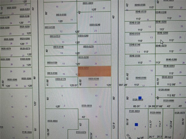 LOT29 SW 57th Ave, Interlachen, FL 32148 - photo 2