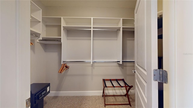 spacious closet featuring carpet floors