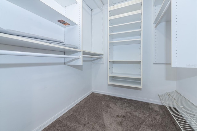 walk in closet with carpet floors