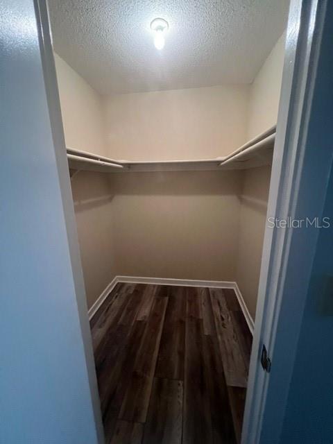 spacious closet with hardwood / wood-style floors