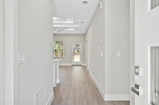 hall with a tray ceiling and light hardwood / wood-style flooring