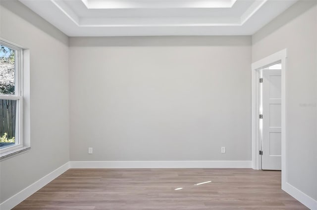 spare room featuring plenty of natural light and light wood-type flooring