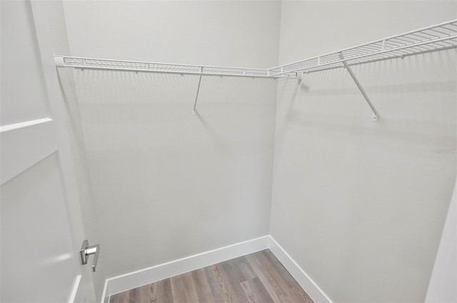 walk in closet featuring hardwood / wood-style flooring