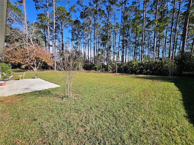 view of yard with a patio area
