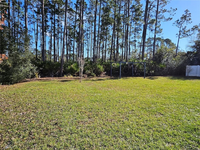 view of yard