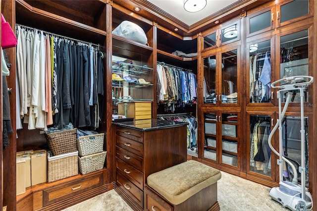 walk in closet with carpet