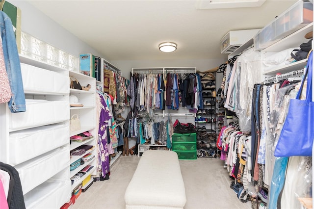 spacious closet with light carpet