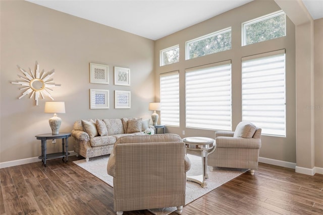 living room featuring dark hardwood / wood-style flooring