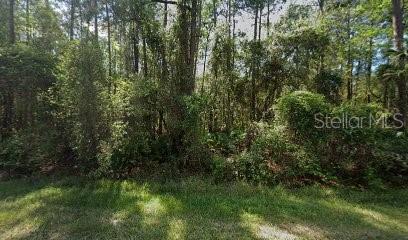 207 Paradise Blvd, Georgetown FL, 32139 land for sale