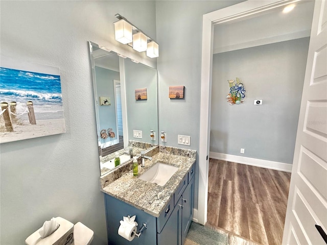 bathroom featuring vanity and wood-type flooring