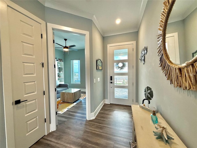 entryway featuring ceiling fan, ornamental molding, and dark wood-type flooring