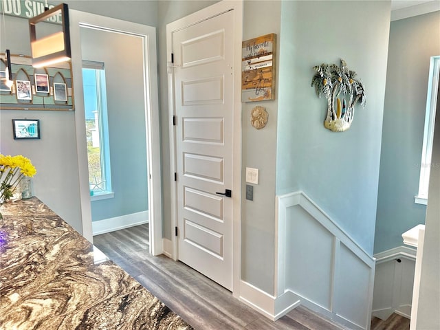 foyer entrance with dark hardwood / wood-style flooring