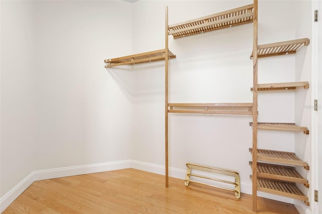 walk in closet featuring hardwood / wood-style flooring