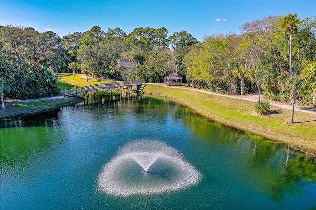 property view of water