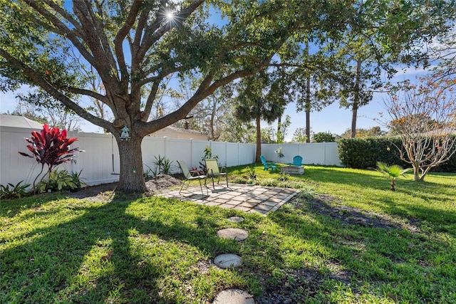 view of yard featuring a patio