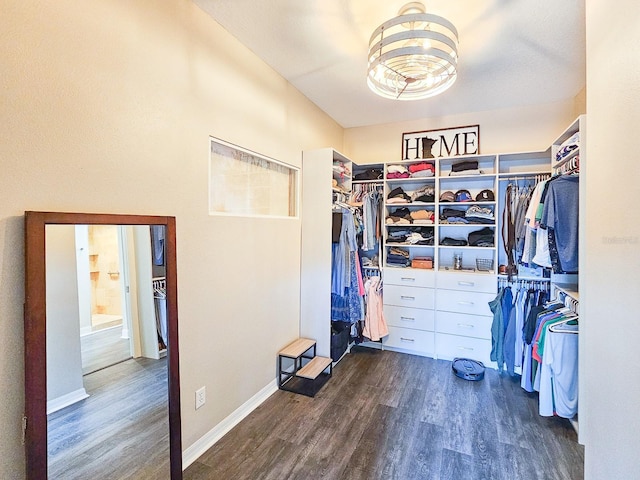 spacious closet with dark hardwood / wood-style flooring