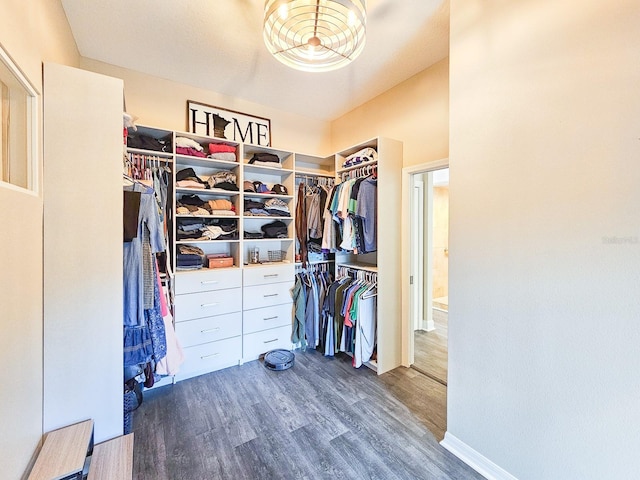 walk in closet with dark wood-type flooring