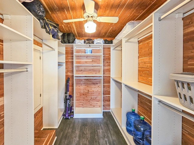 walk in closet with dark hardwood / wood-style floors and ceiling fan