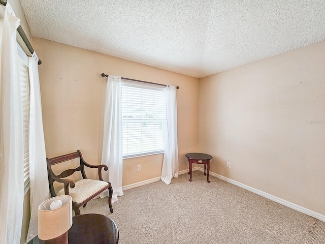 living area with carpet flooring and a textured ceiling