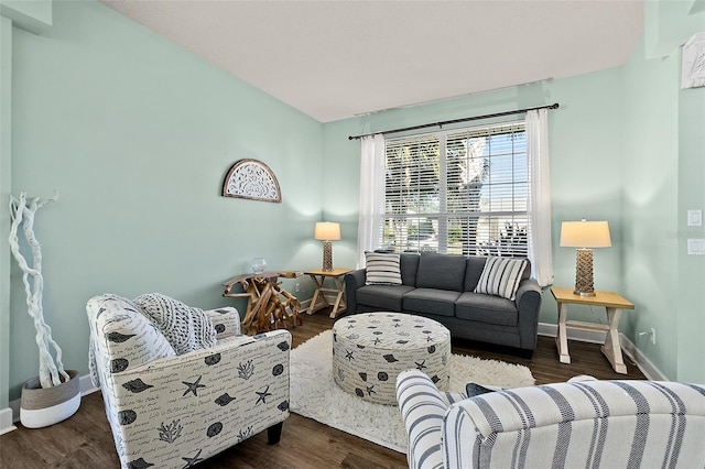 living room with dark hardwood / wood-style flooring