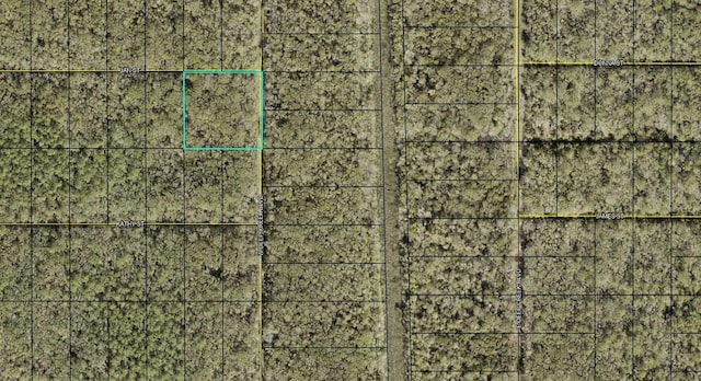 XXX W Deep Creek Blvd, Hastings FL, 32145 land for sale