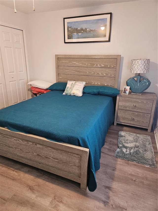 bedroom featuring hardwood / wood-style floors and a closet