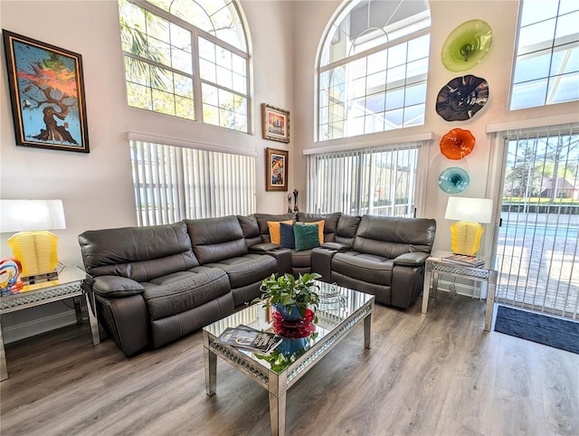 living room featuring a high ceiling, wood finished floors, and baseboards