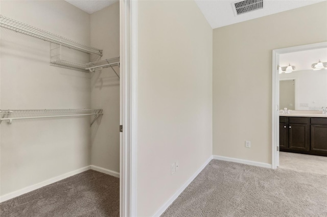 spacious closet with sink and light carpet