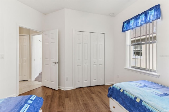 bedroom with a closet and wood-type flooring