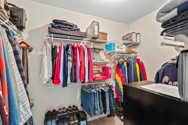 spacious closet featuring carpet floors