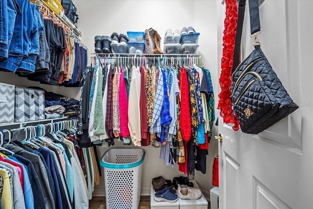 walk in closet with hardwood / wood-style flooring