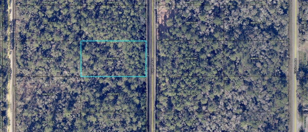 10535 Flikkema Ave, Hastings, FL 32145 - photo 1