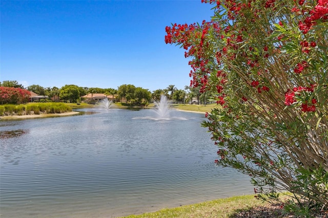 view of water feature