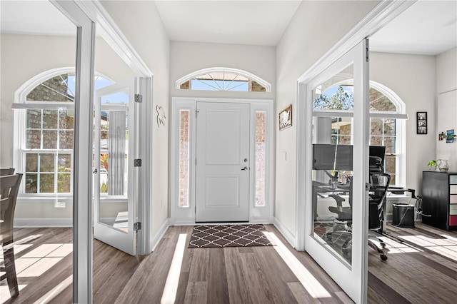 entryway with hardwood / wood-style floors and a healthy amount of sunlight