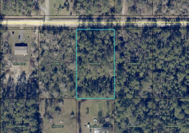 4345 Gladys St, Hastings FL, 32145 land for sale