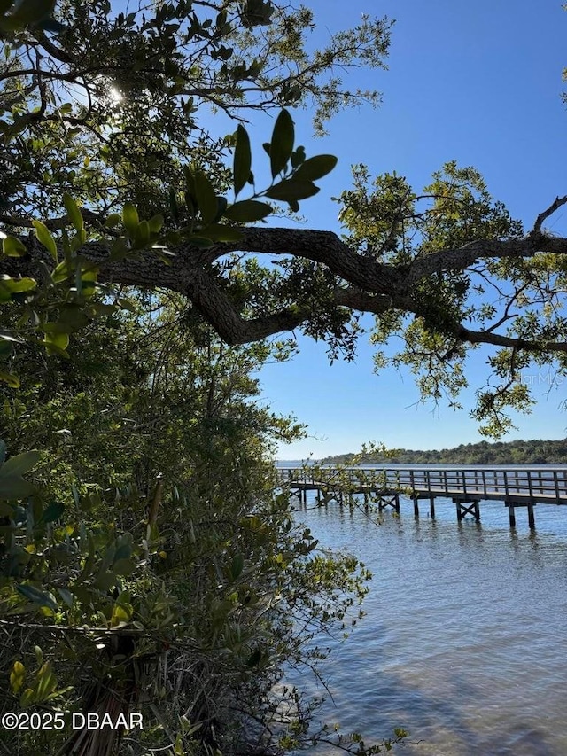 view of dock with a water view