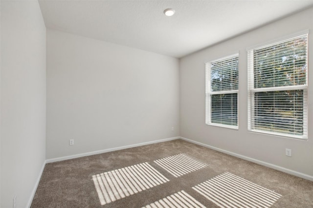 unfurnished room featuring carpet