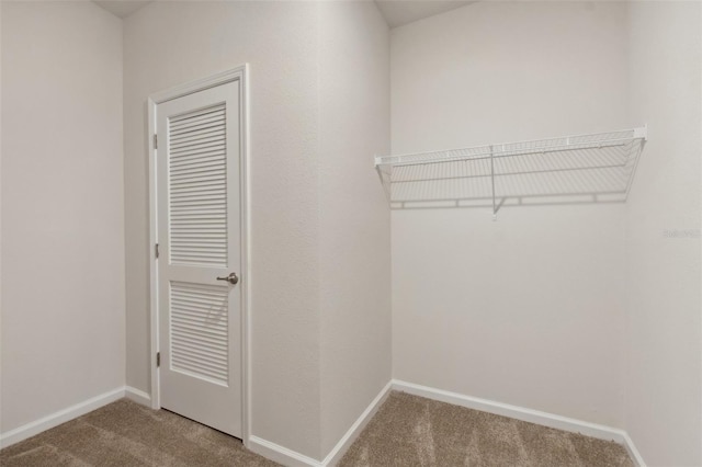 walk in closet featuring carpet floors