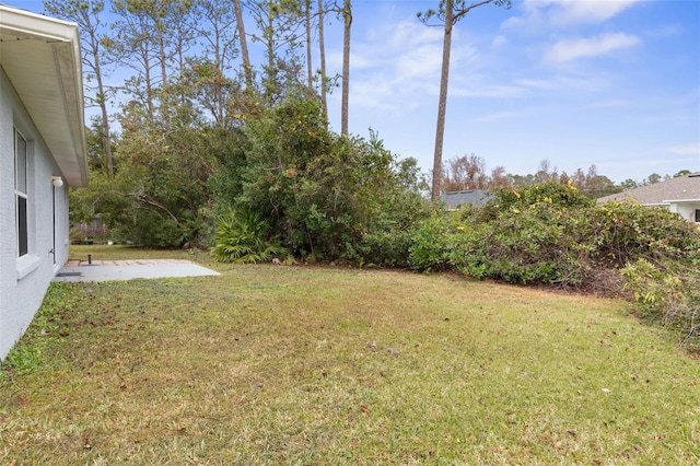 view of yard featuring a patio area