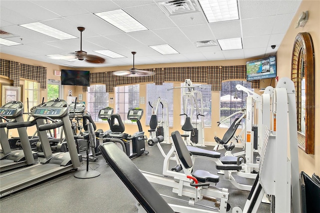 workout area with a drop ceiling and ceiling fan