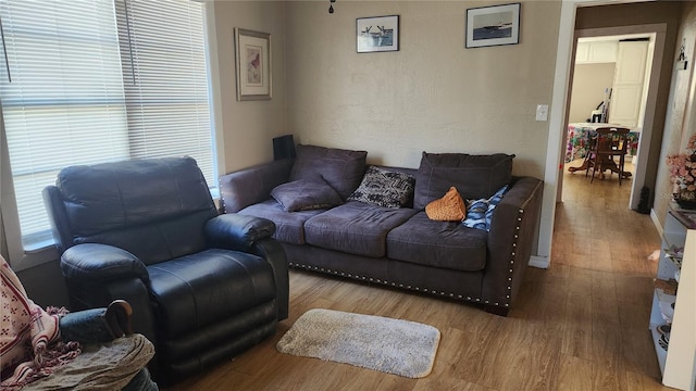 living room with wood-type flooring