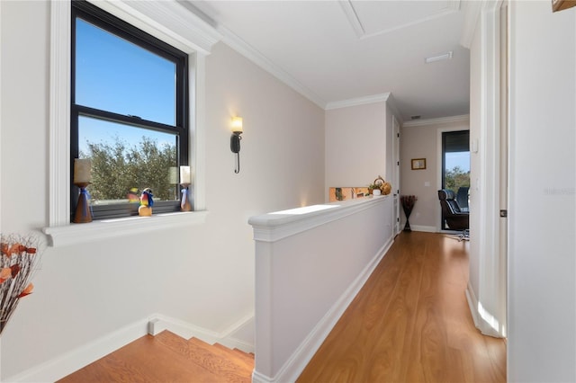 hallway with ornamental molding, a healthy amount of sunlight, and light hardwood / wood-style floors