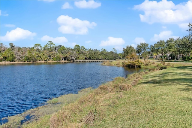 property view of water