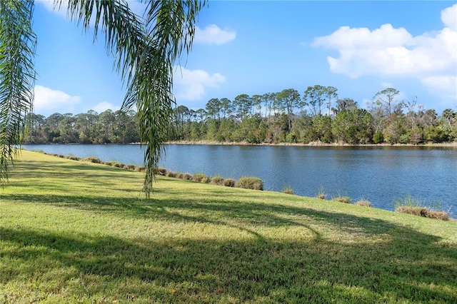 property view of water