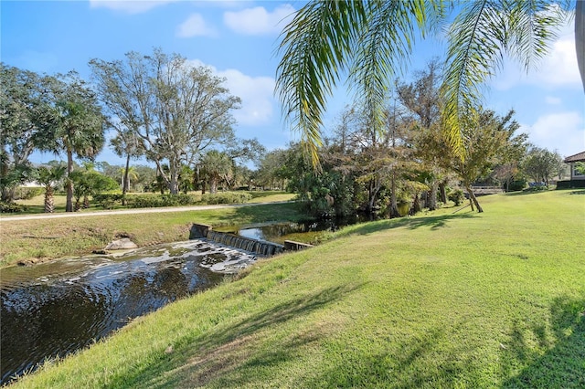 view of yard with a water view