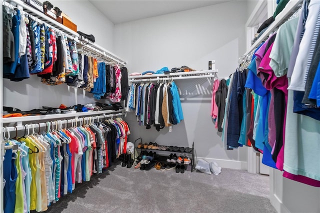 spacious closet with carpet