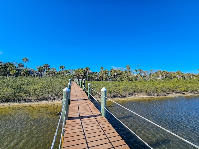 dock area with a water view