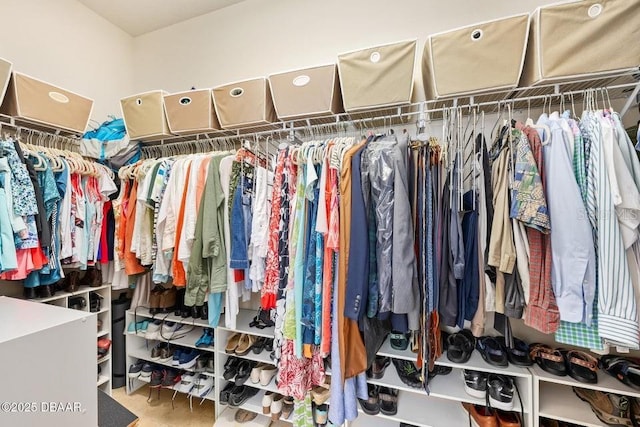 walk in closet with carpet floors