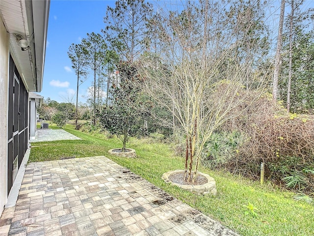 view of yard featuring a patio